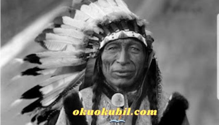 Native american Kızılderili Resimleri