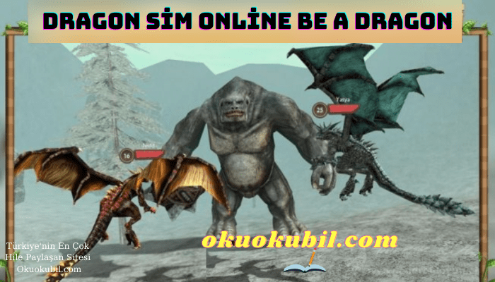 Dragon Sim Online Be A Dragon v200.0 Para Hileli