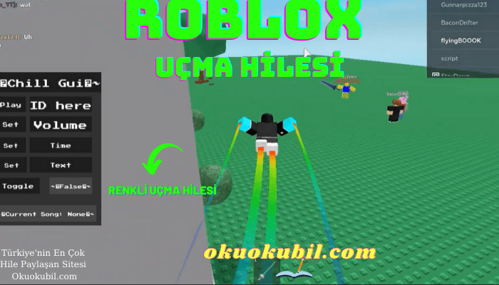 Roblox Renkli Uçma Animasyon Script Hile Kodları