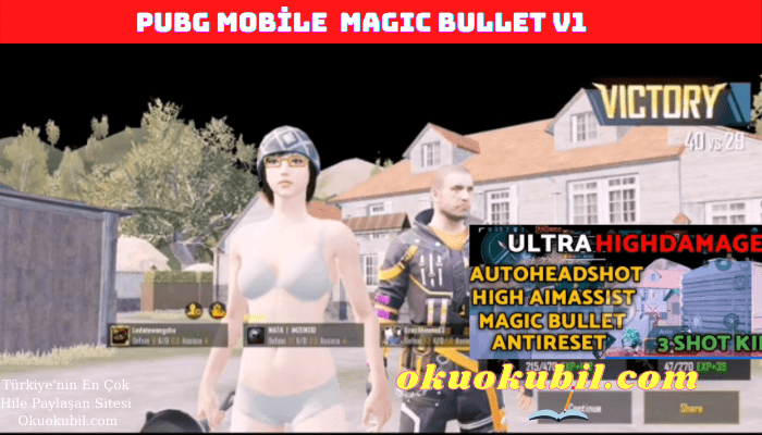 Pubg Mobile 1.4.0 Magic Bullet V1 AIMBOT Config