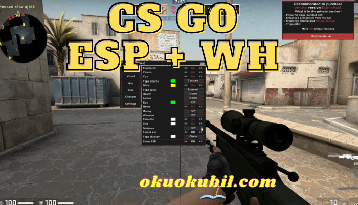 CS GO Duvar ESP + WH Wallhack Hack Setup 2021