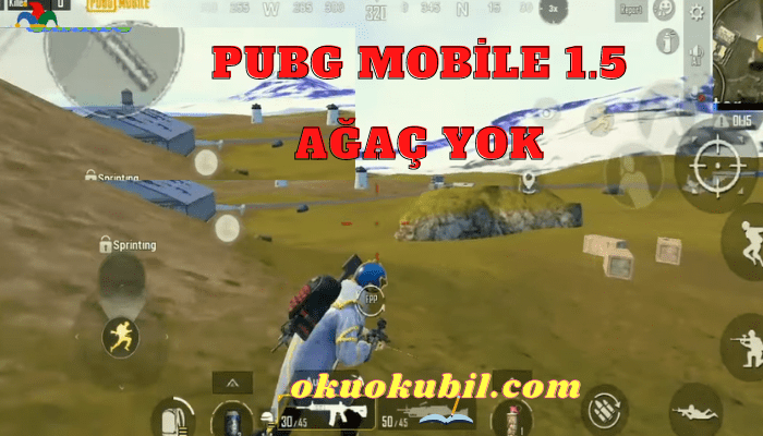 Pubg Mobile 1.5 No Tree Only Paks GL + KR İndir