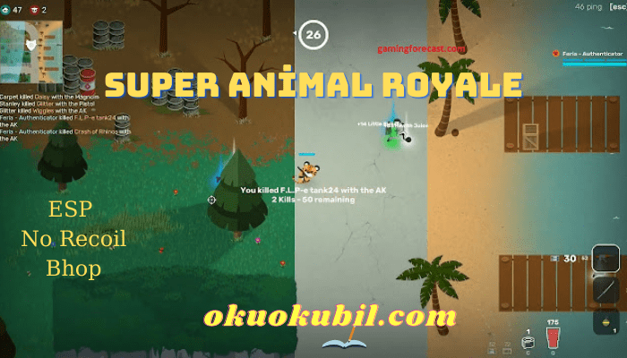 Super Animal Royale 