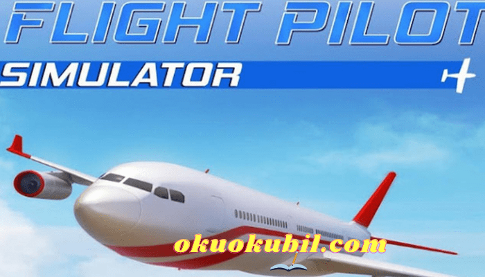 Flight Pilot Simulator v2.6.6 Para Hileli Mod Apk