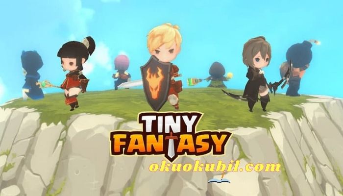 Tiny Fantasy 0.264 Altın + Hasar Hileli Mod Apk
