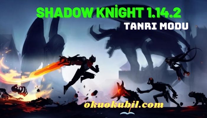 Shadow Knight 1.14.2 Tanrı Modu Mod Apk 2022