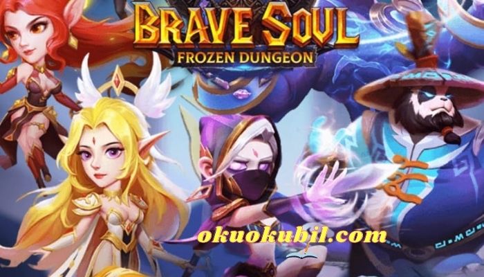 Brave Soul: Frozen Dungeon 6.0 Cesur Ruh APK İndir