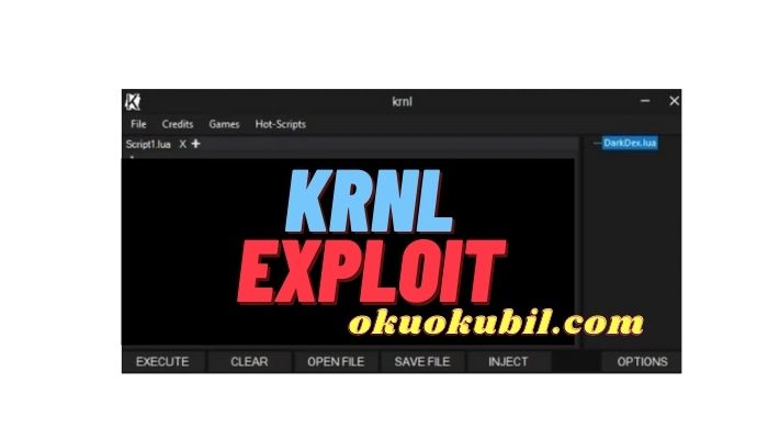 Krnl Exploit Roblox Script Executor Lvl 7