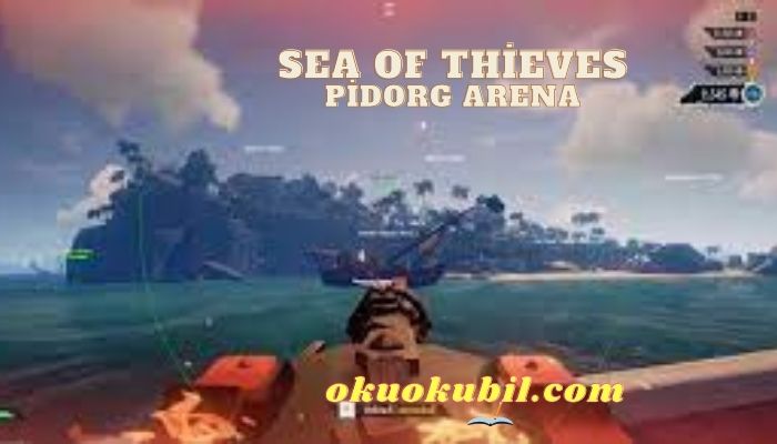 Sea of Thieves Pidorg Arena Çift Vuruş Hilesi
