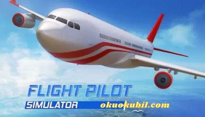 Flight Pilot Simulator 3D v2.6.45 Para Hileli Mod Apk