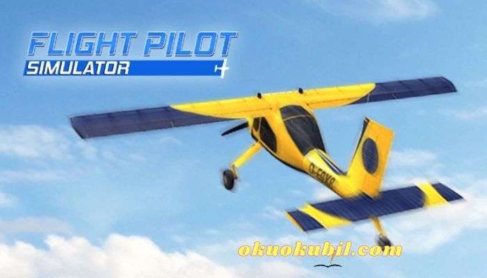 Flight Pilot Simulator 3D v2.6.45 Para Hileli Mod Apk