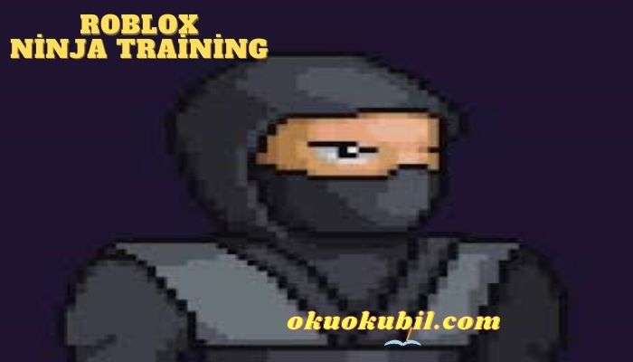 Roblox Ninja Training Eğitim Script Hileli İndir
