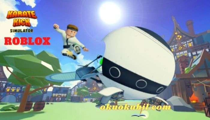 Roblox Karate Kick Simulator Hileli Script İndir