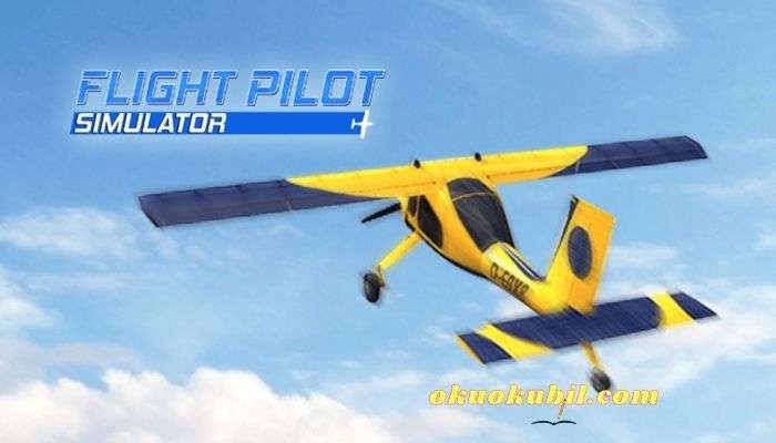 Flight Pilot Simulator 3D v2.6.50 Para Hileli Mod Apk