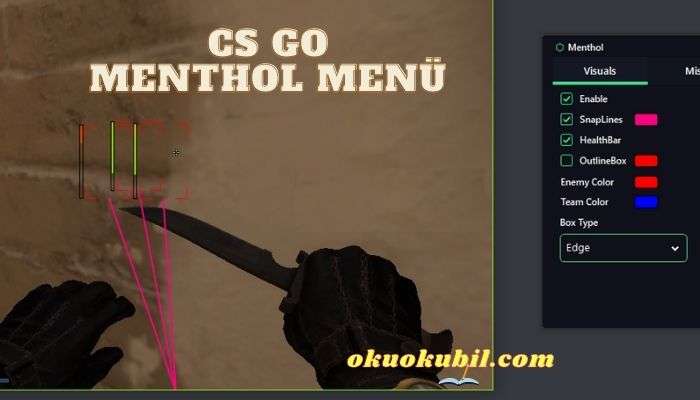 CS GO Menthol Menü ESP WH Bhop Hileli İndir