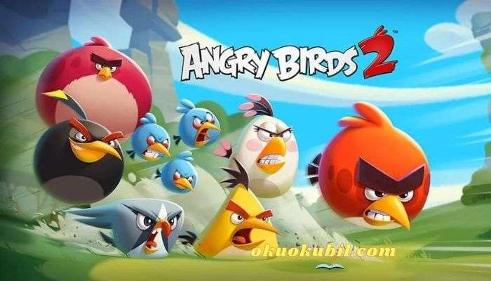 Angry Birds 2: v3.5.0 Para Hileli Mod Apk İndir