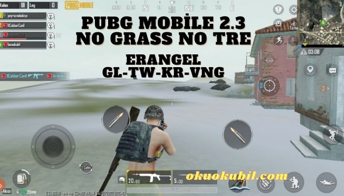 Pubg Mobile 2.3 Erangel No Grass No Tree Config