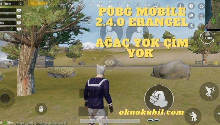 Pubg Mobile 2.4 Çim + Ağaç Yok Erangel Config