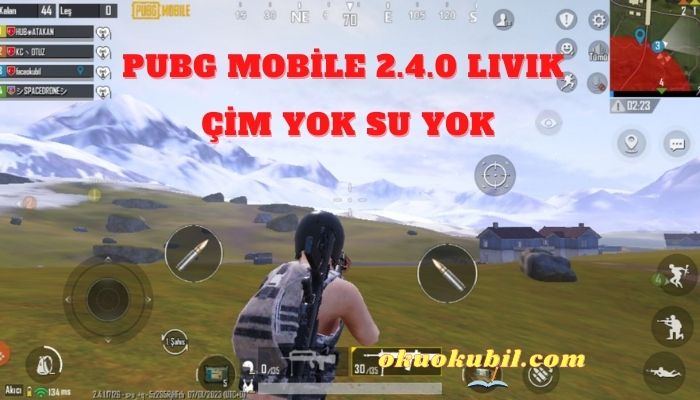Pubg Mobile 2.4 LIVIK Çim + Su Yok Hileli Config