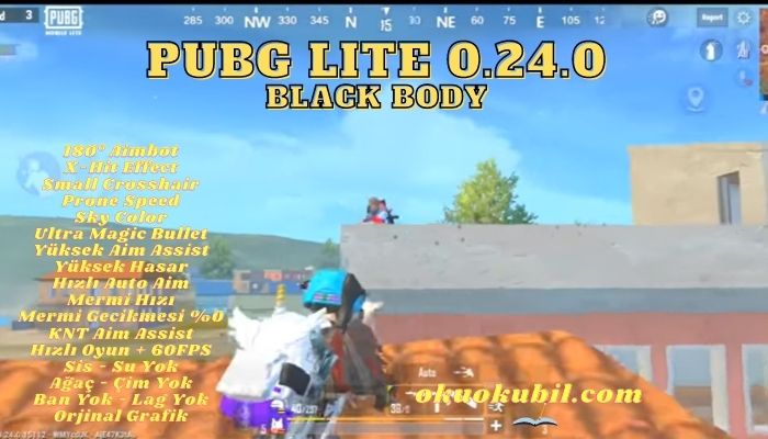 Pubg LITE 0.24.0 Rank + Black Body Hileli Config