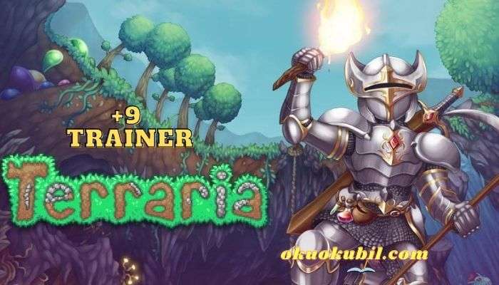Terraria 1.4.4.9 PC Cephane +9 Trainer Hilesi