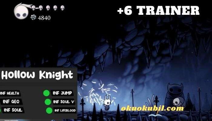 Hollow Knight Can +6 Hileli Trainer İndir